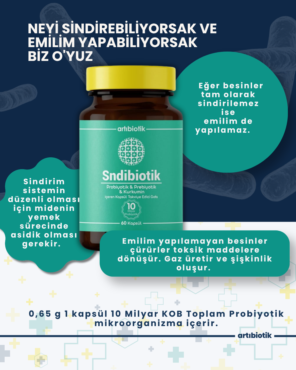 Artıbiotik Sndibiotik (60 Kapsül) 