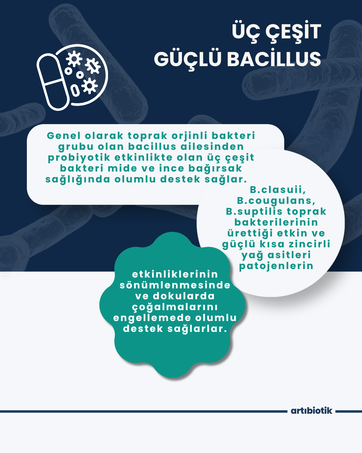 Artıbiotik Triobiotik(60 Kapsül)