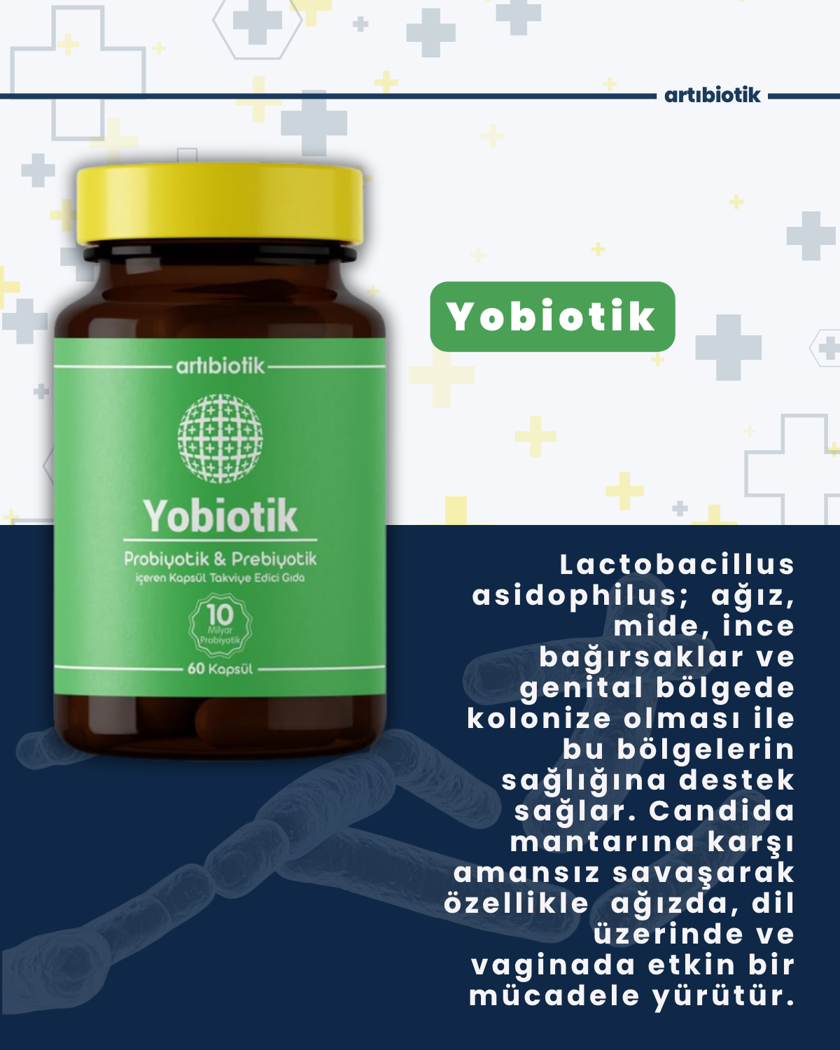 Artıbiotik Yobiotik(60Kapsül)