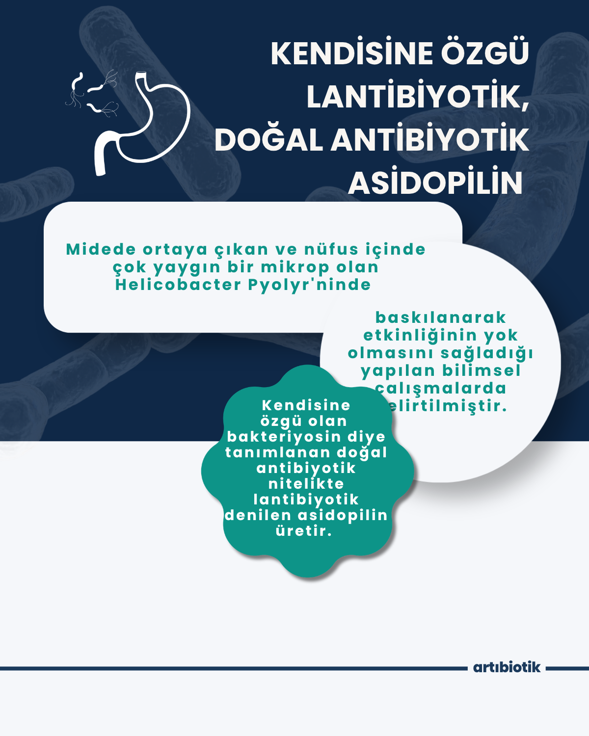 Artıbiotik Yobiotik(60Kapsül)