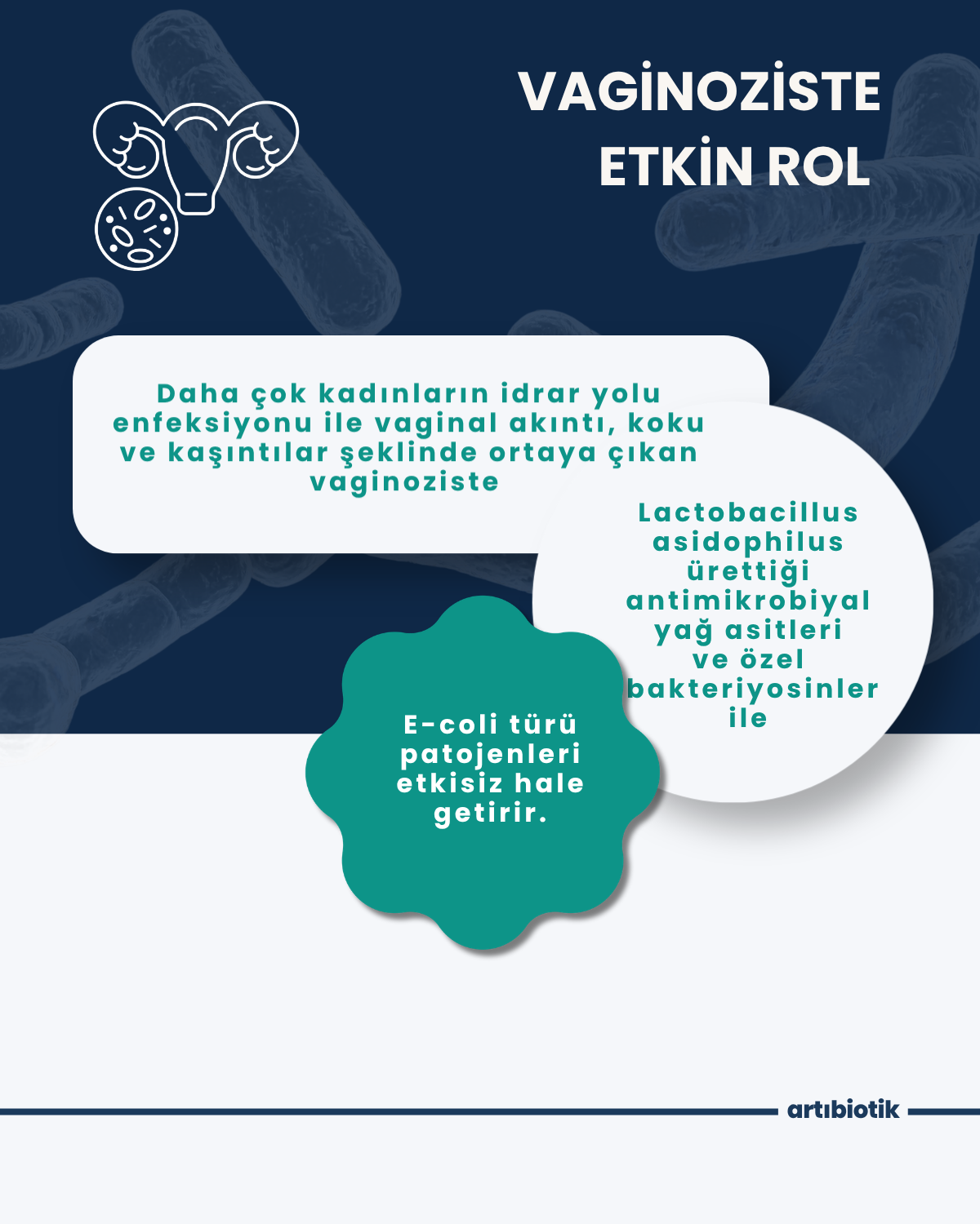 Artıbiotik Yobiotik(60Kapsül)