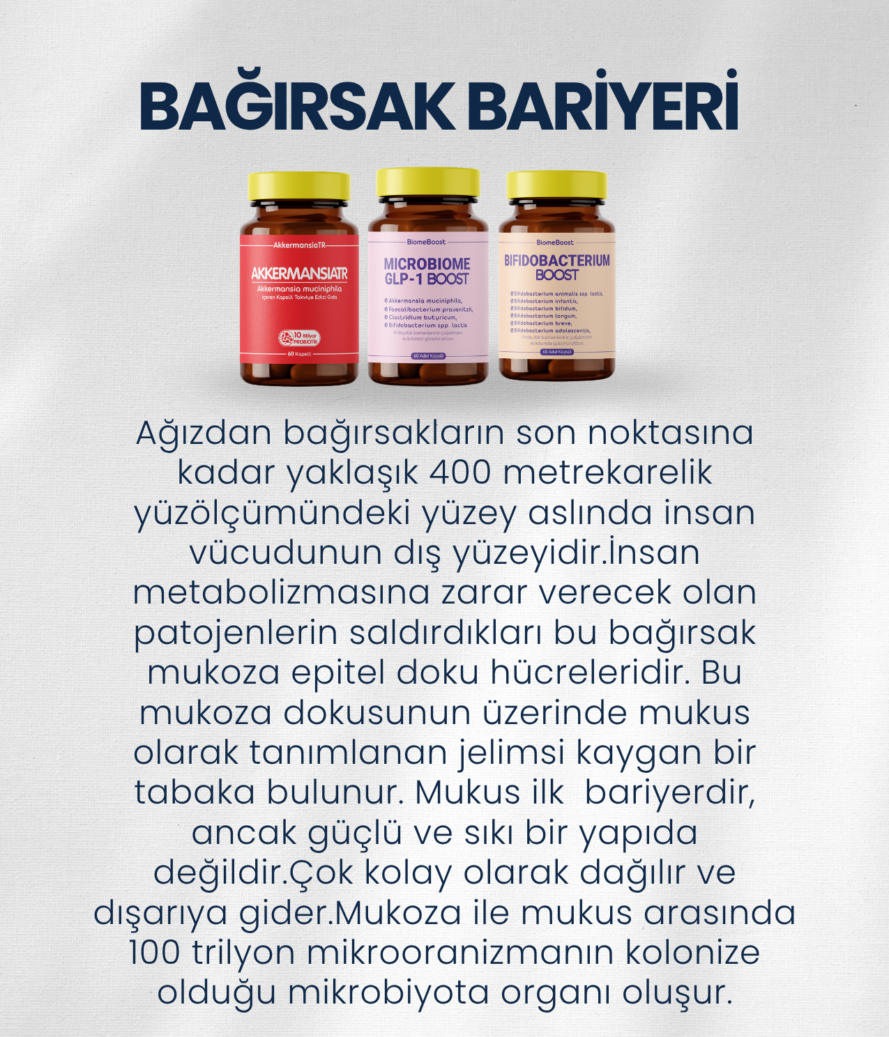Bağırsak Bariyeri Probiyotik Seti