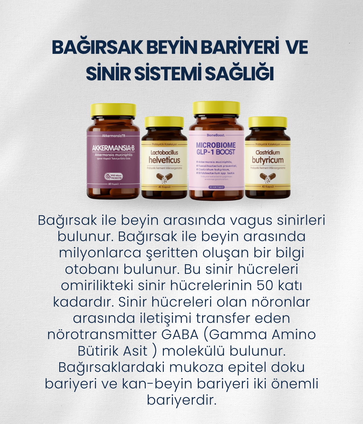 Bağırsak Beyin Bariyeri ve Sinir Sistemi Sağlığı Probiyotik Seti