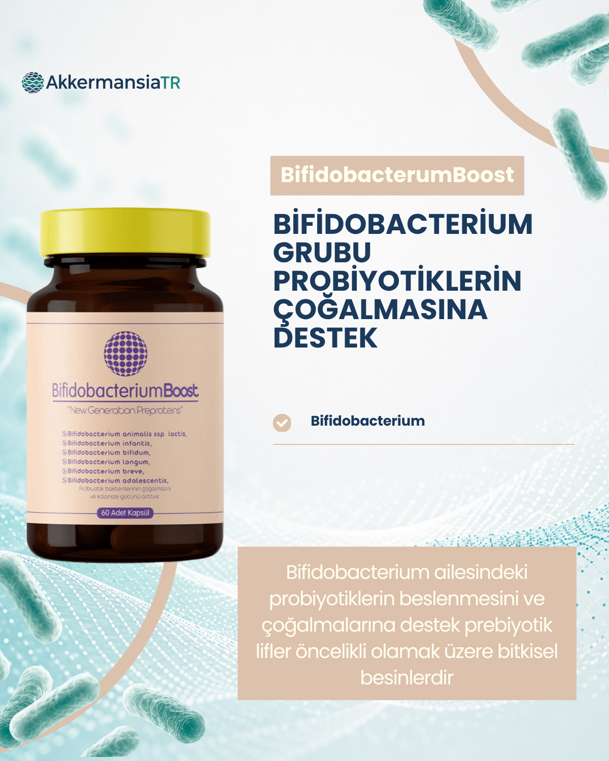 BifidobacteriumBoost 60 Kapsül