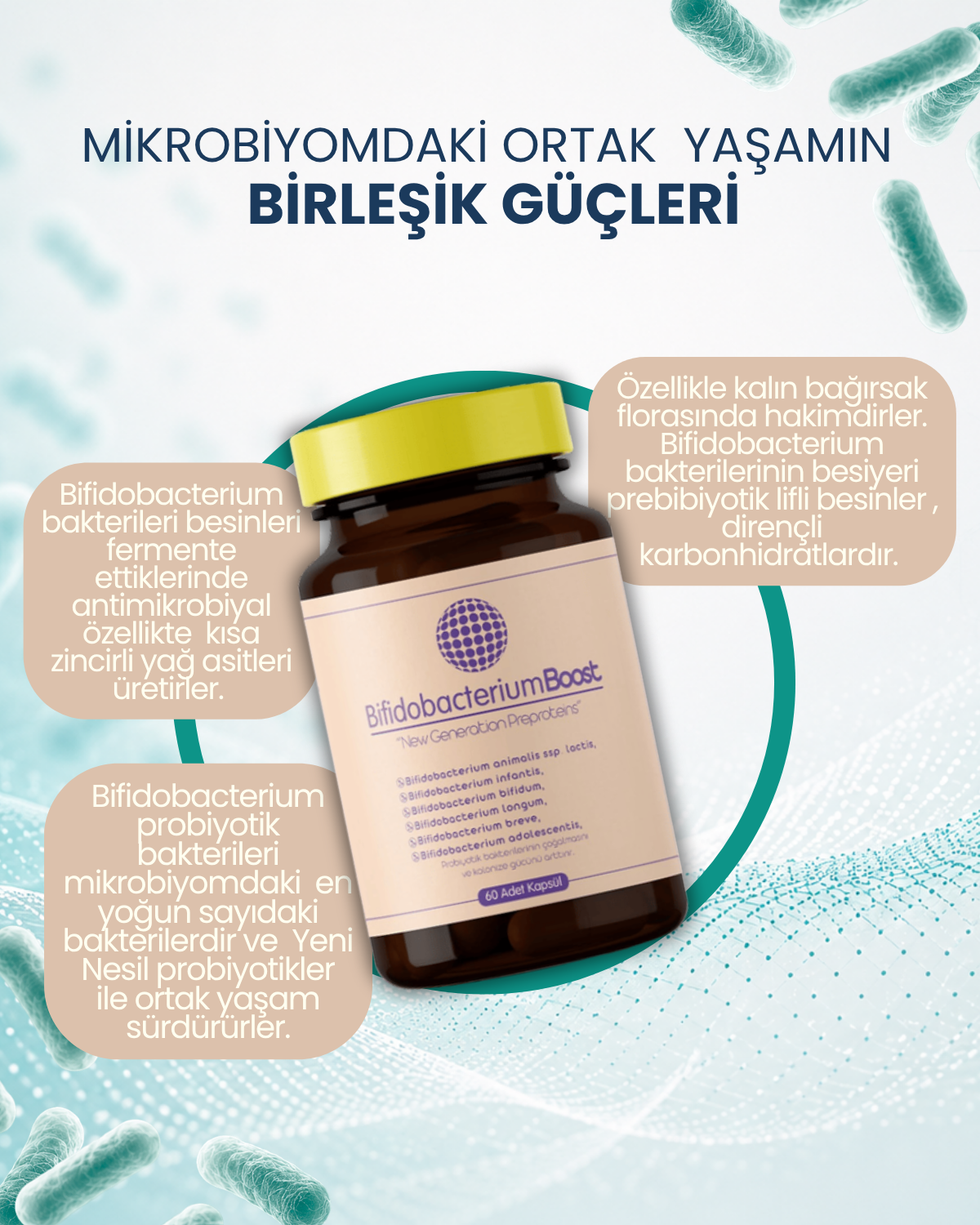 BifidobacteriumBoost 60 Kapsül