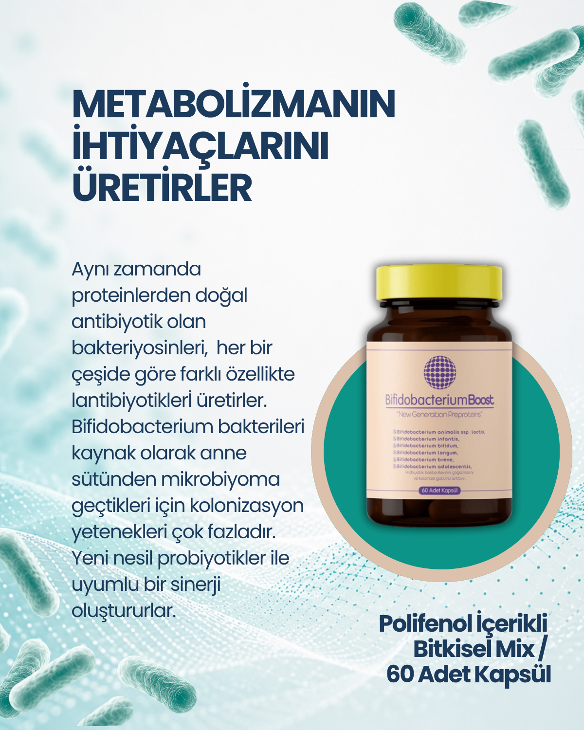 BifidobacteriumBoost 60 Kapsül