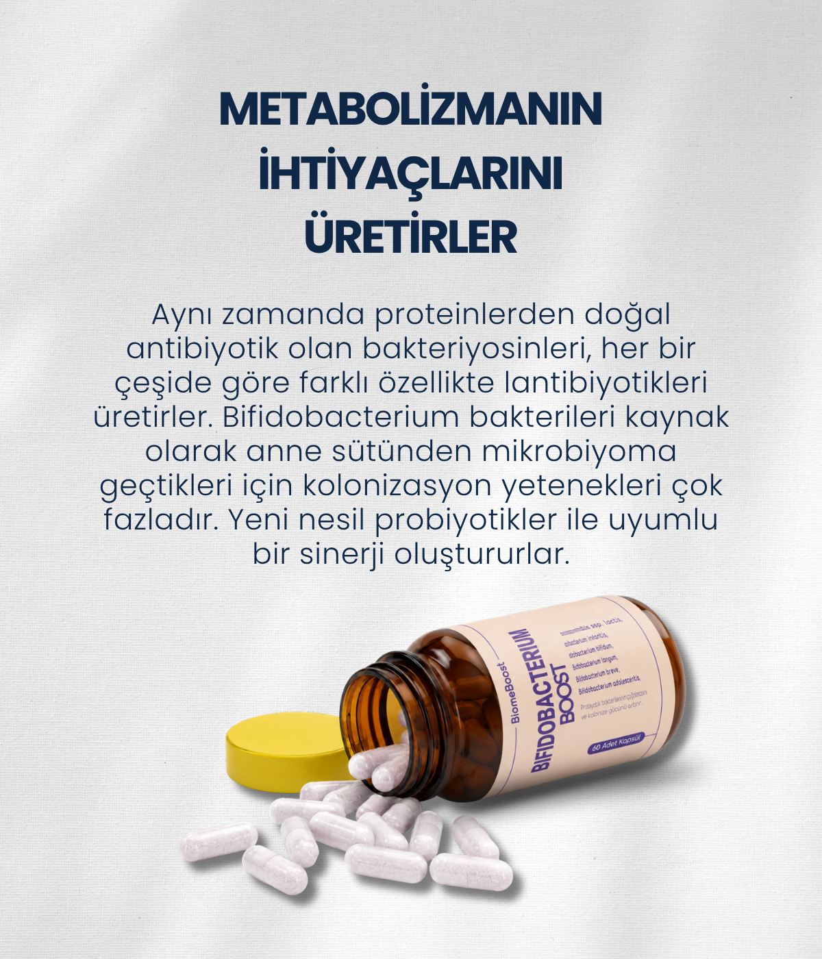 BifidobacteriumBoost 60 Kapsül