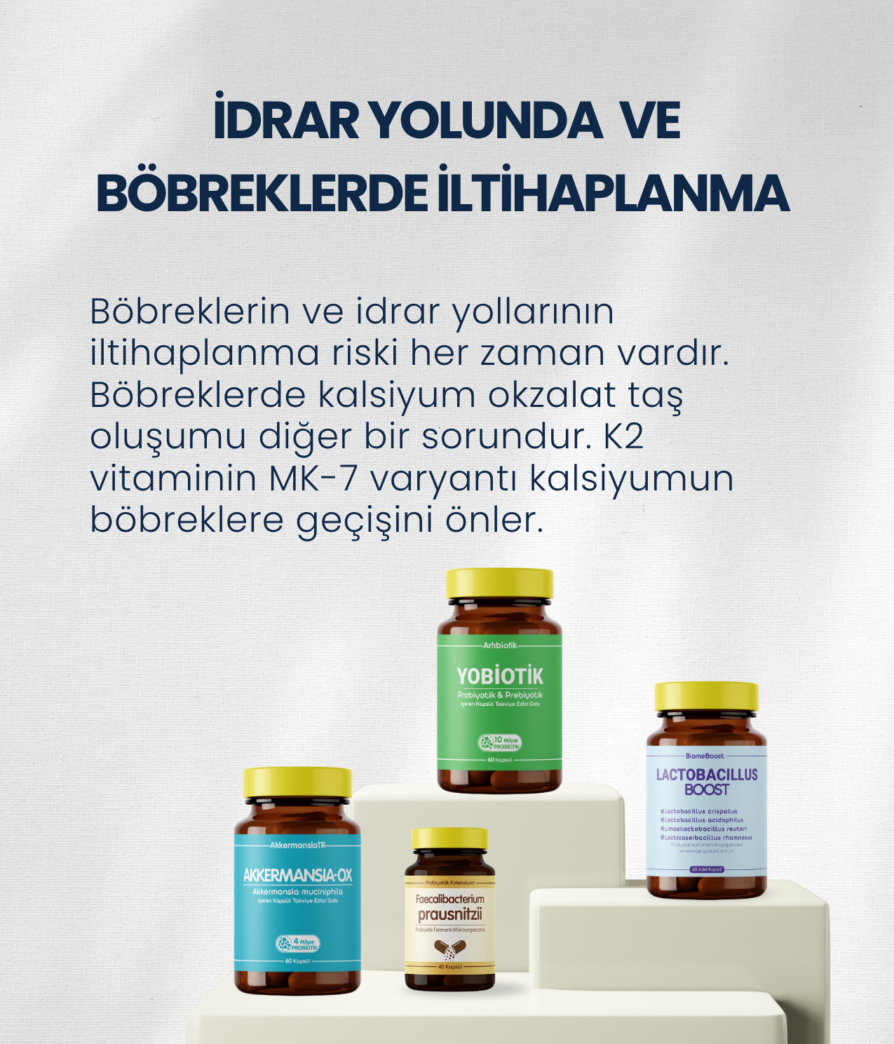 Böbrek Sağlığı Probiyotik Seti