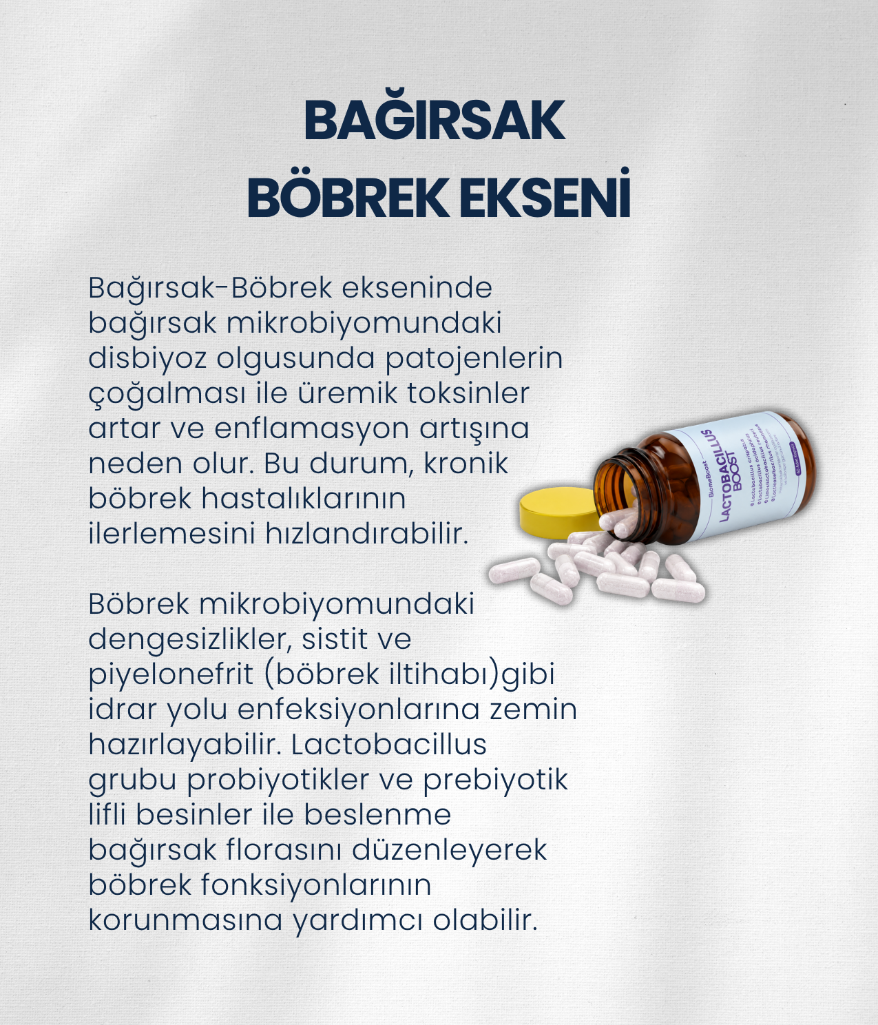Böbrek Sağlığı Probiyotik Seti