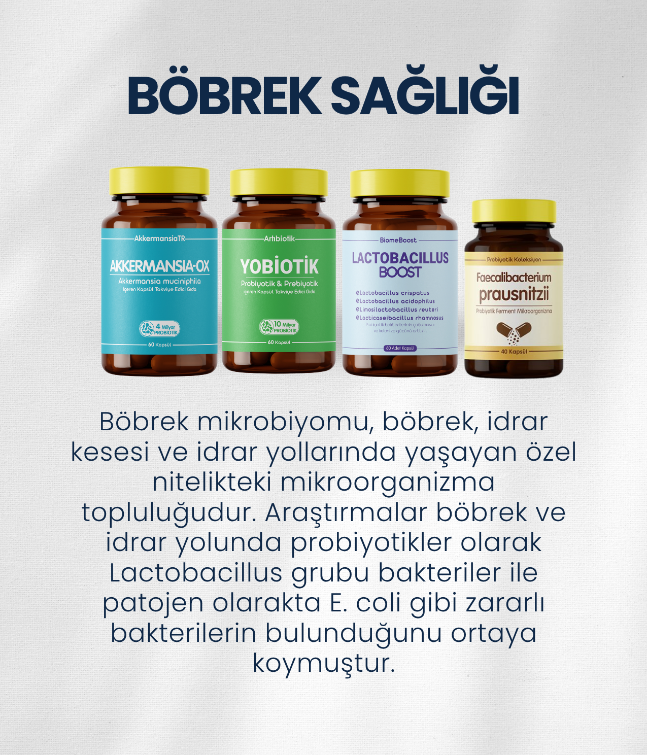 Böbrek Sağlığı Probiyotik Seti