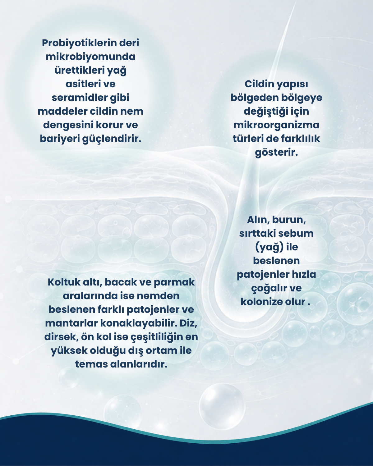 Deri ve Cilt Sağlığı Probiyotik Seti