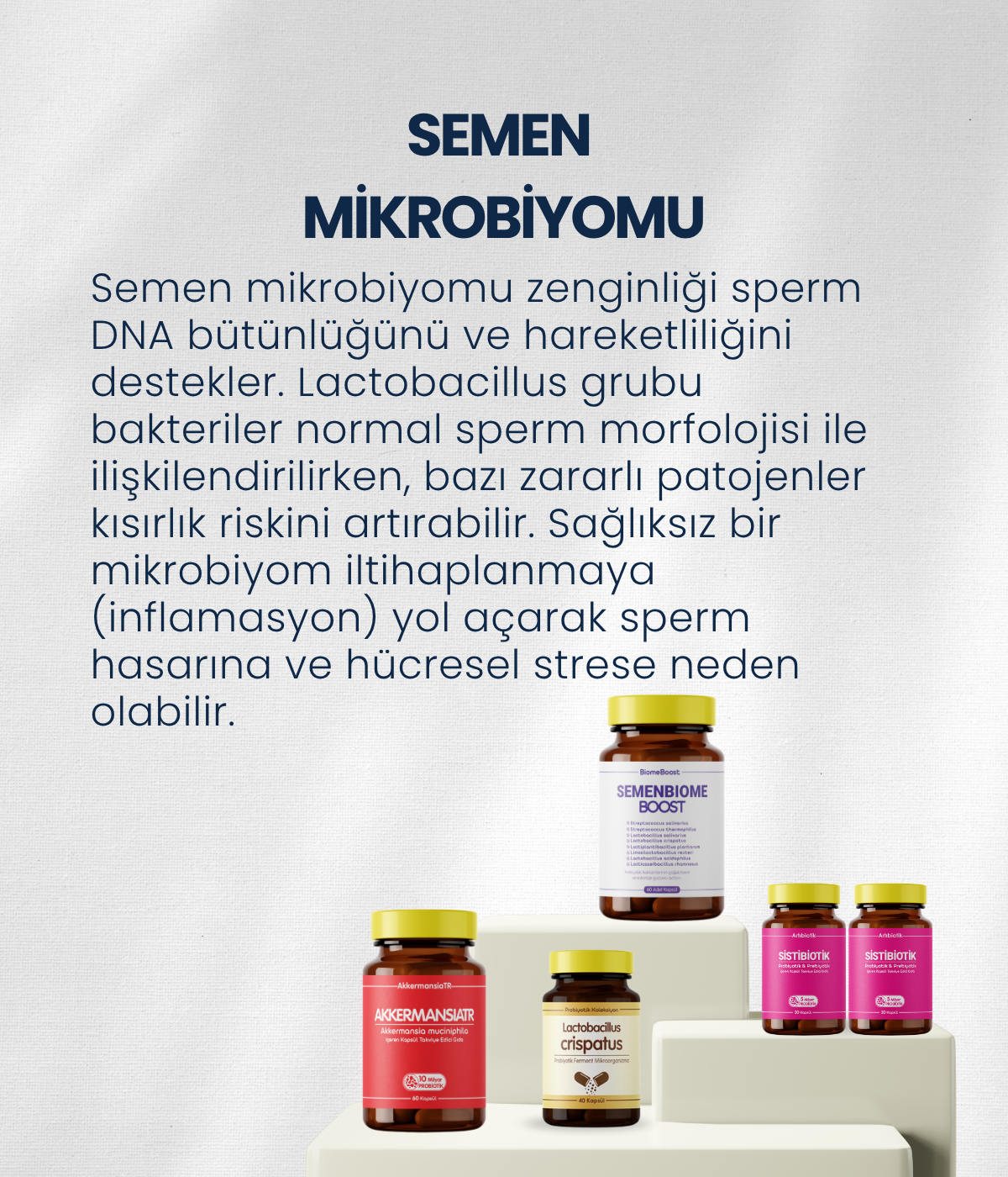 Erkek Sağlığı Probiyotik Seti