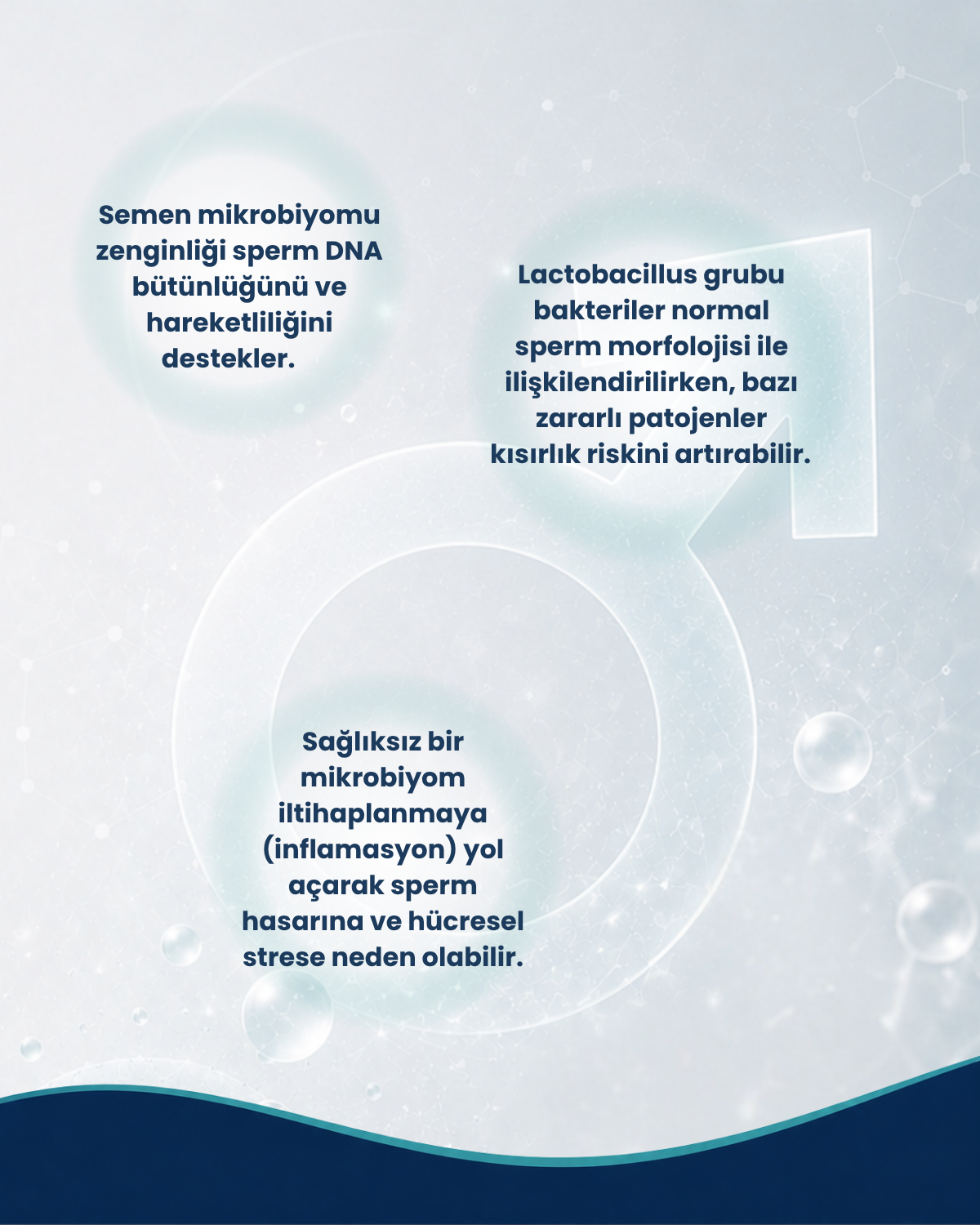 Erkek Sağlığı Probiyotik Seti