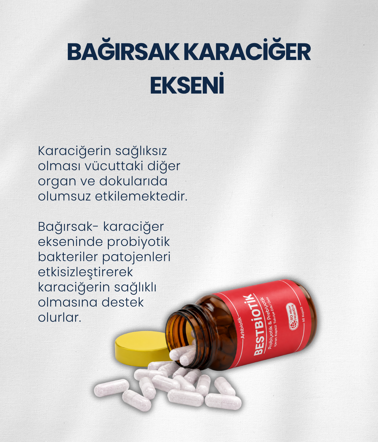 Karaciğer Sağlığı Probiyotik Seti