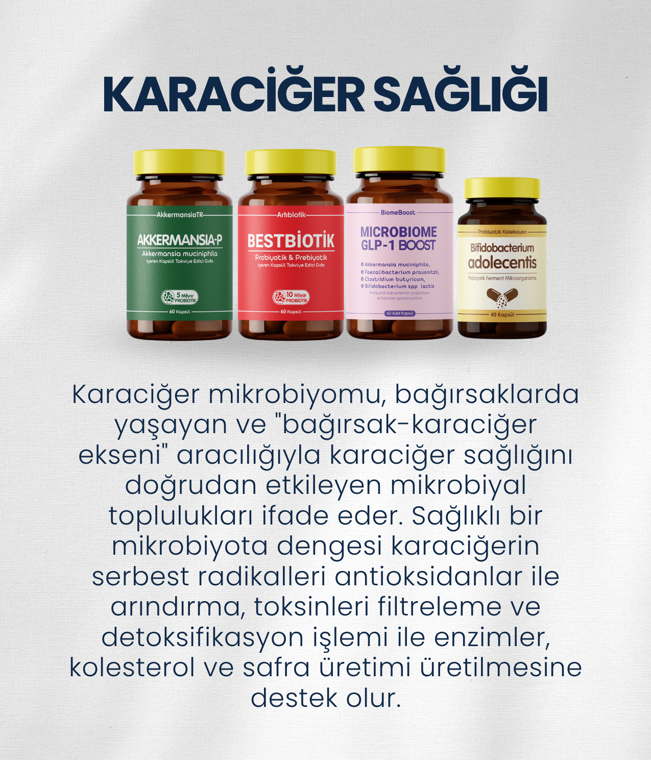 Karaciğer Sağlığı Probiyotik Seti