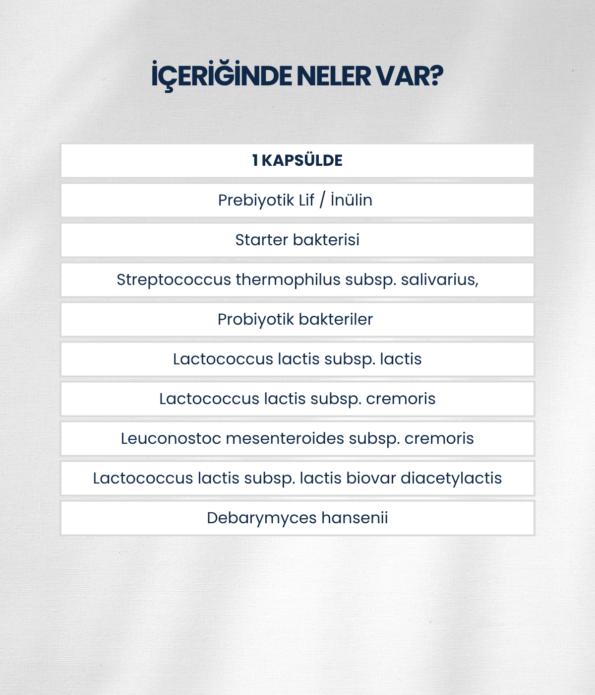 Kefir Mayası 10 Kapsül