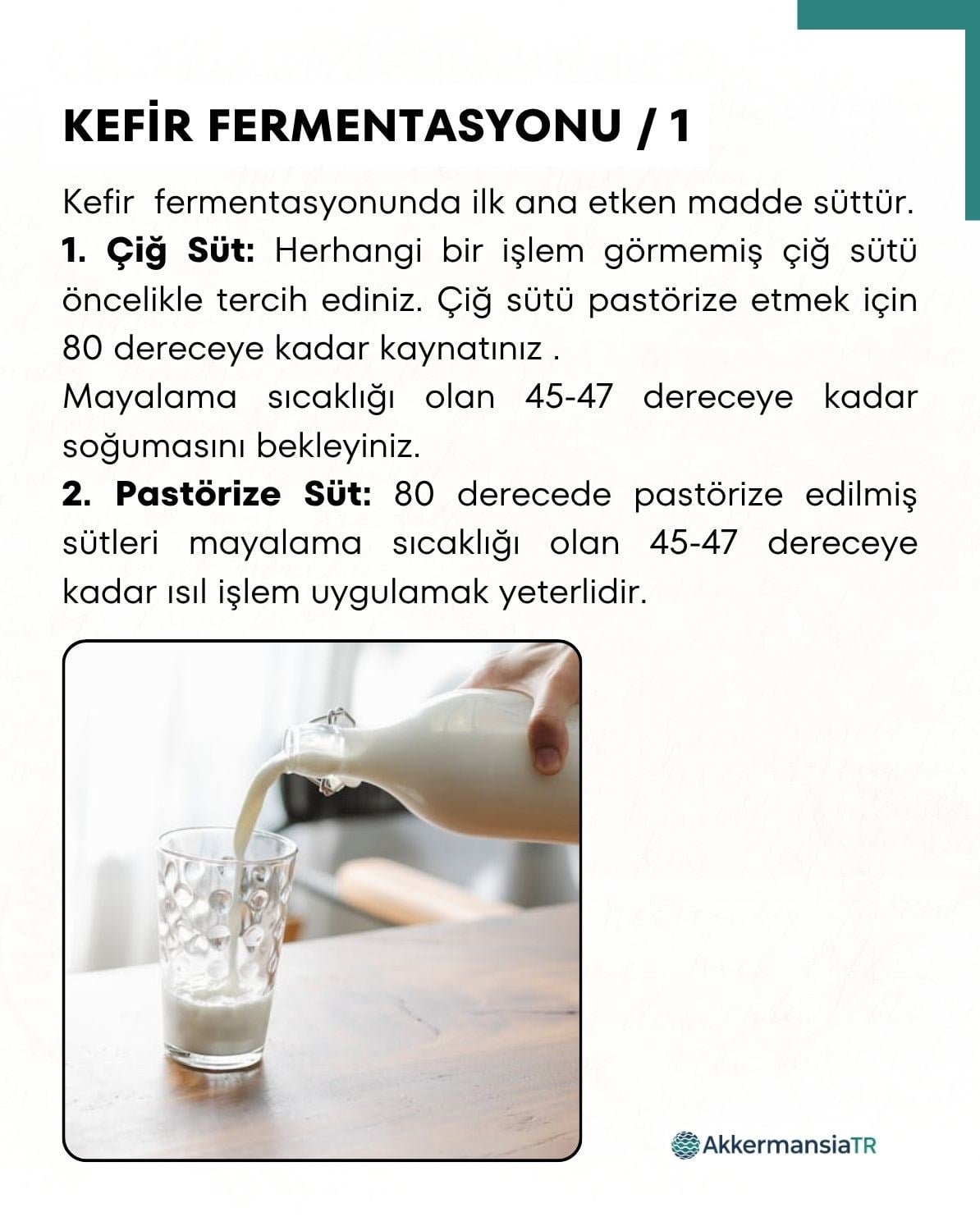 Kefir Mayası 10 Kapsül