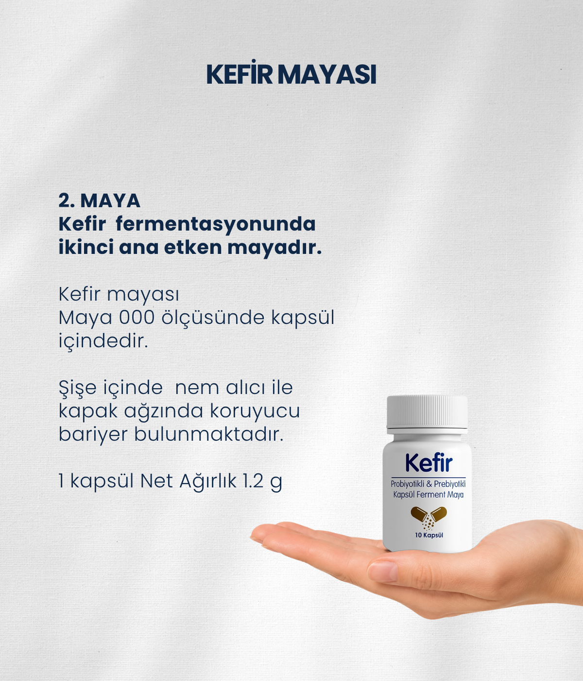 Kefir Mayası 10 Kapsül