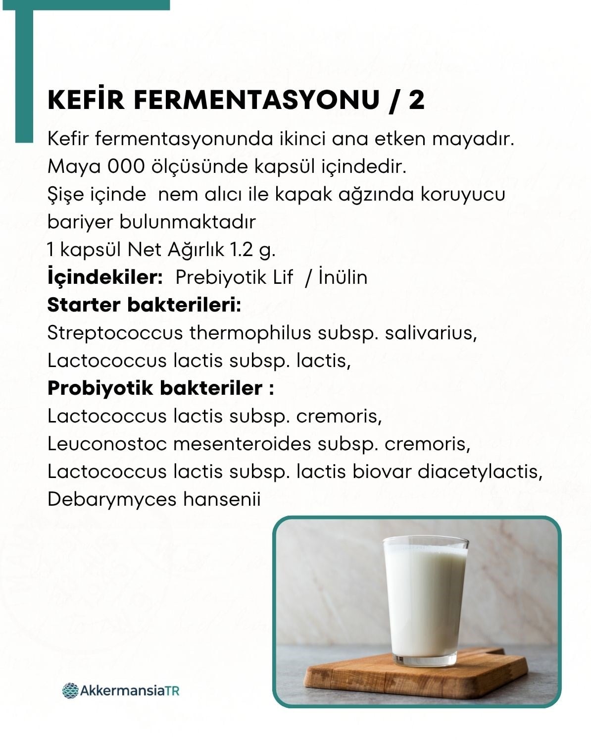 Kefir Mayası 10 Kapsül