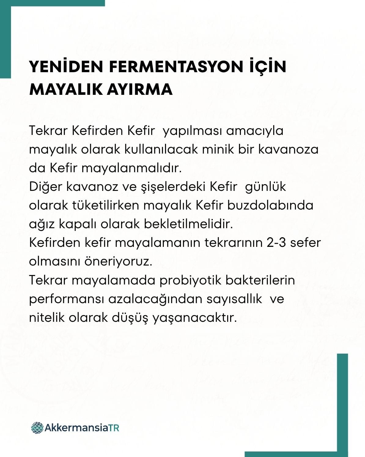Kefir Mayası 10 Kapsül