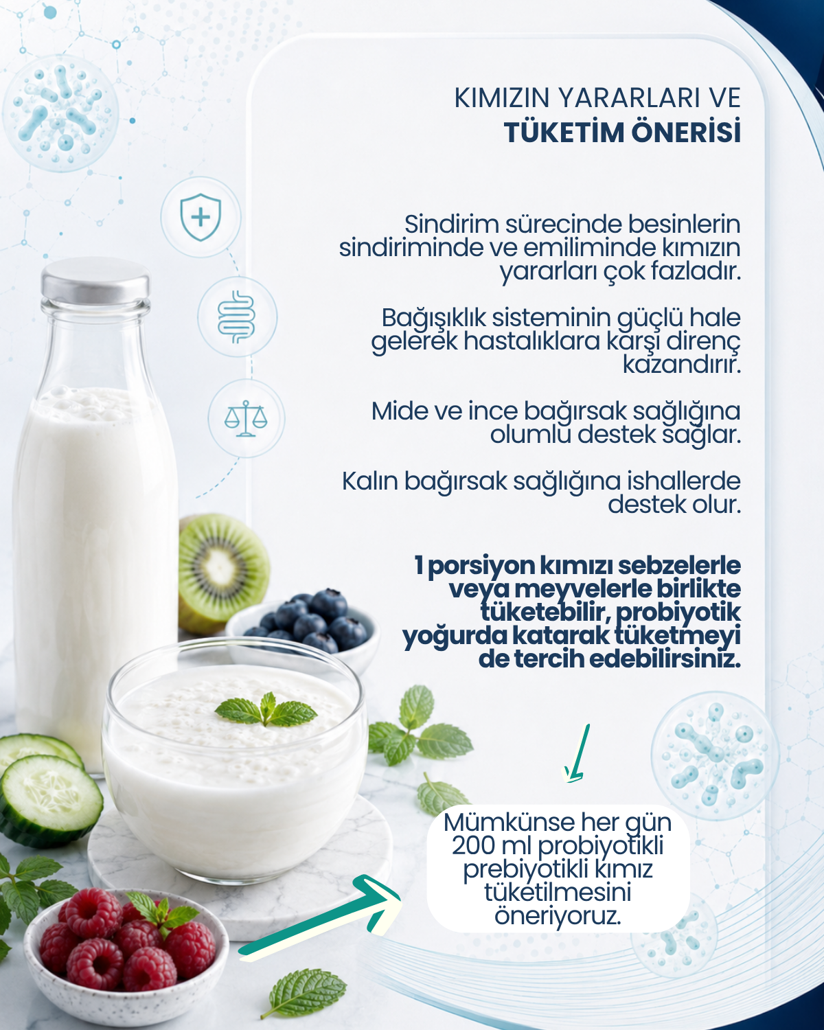 Kımız Mayası 10 Kapsül