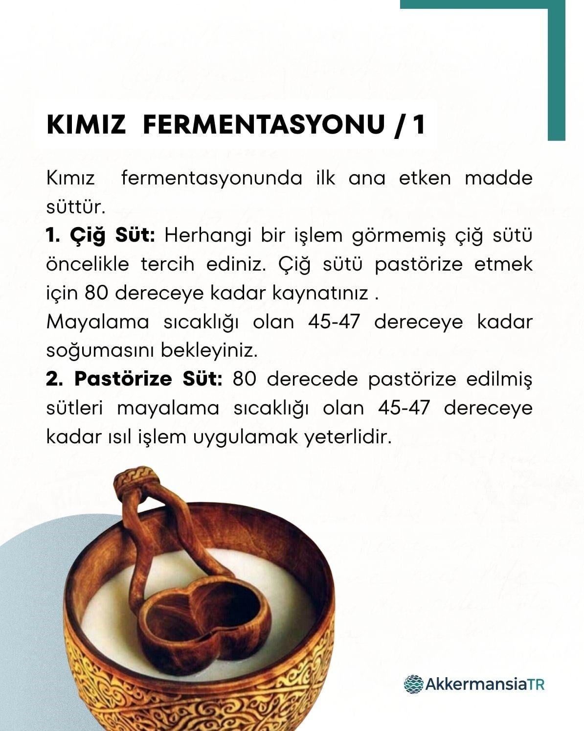 Kımız Mayası 10 Kapsül
