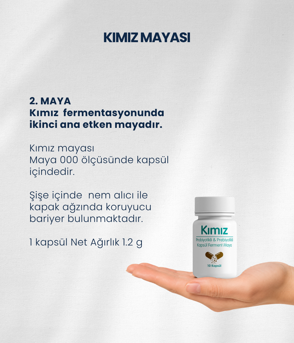 Kımız Mayası 10 Kapsül