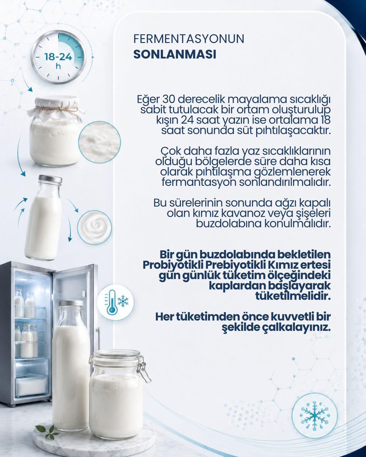 Kımız Mayası 10 Kapsül