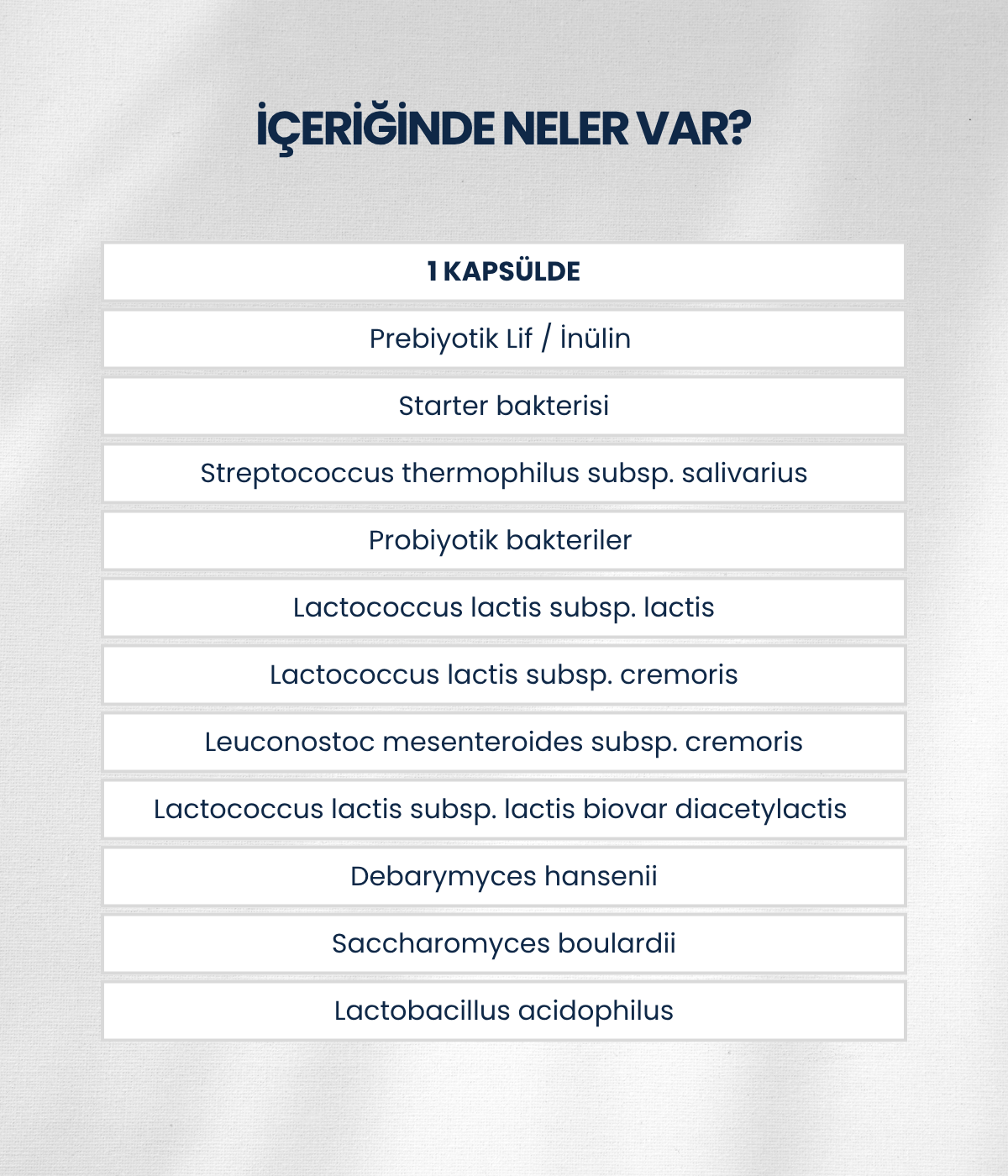 Kımız Mayası 10 Kapsül