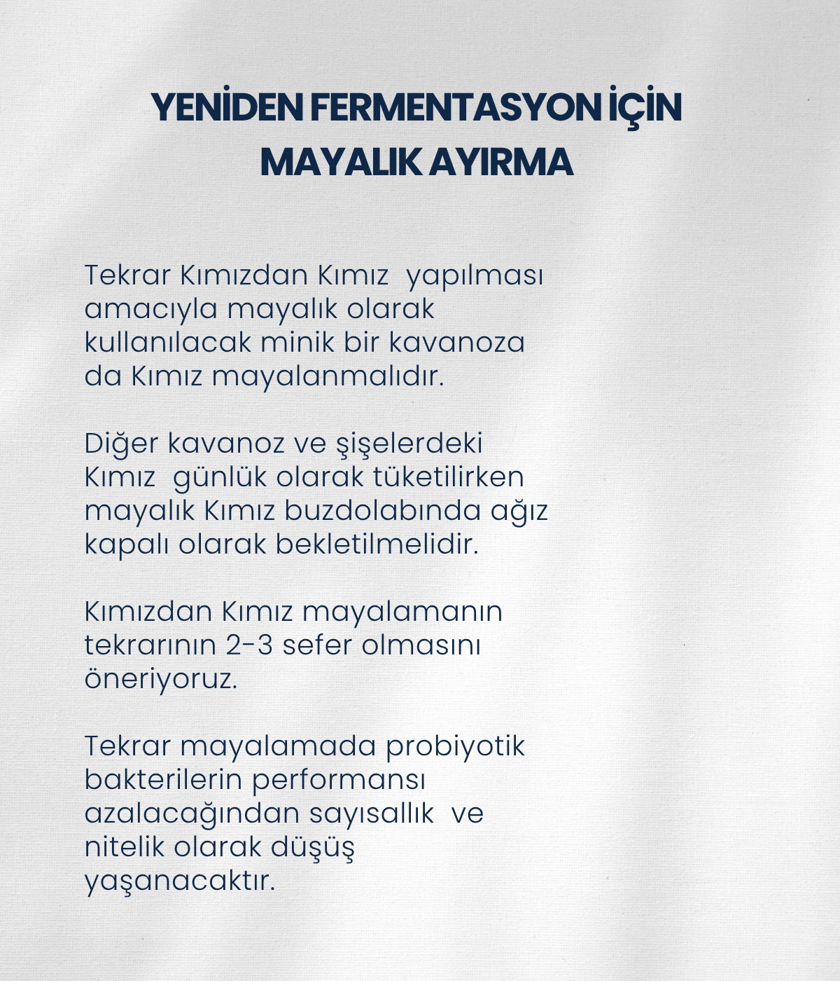 Kımız Mayası 10 Kapsül