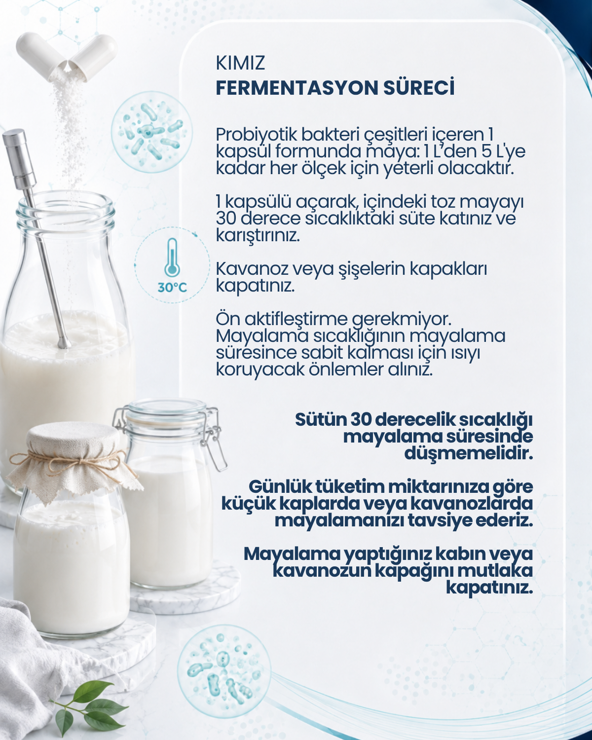 Kımız Mayası 10 Kapsül
