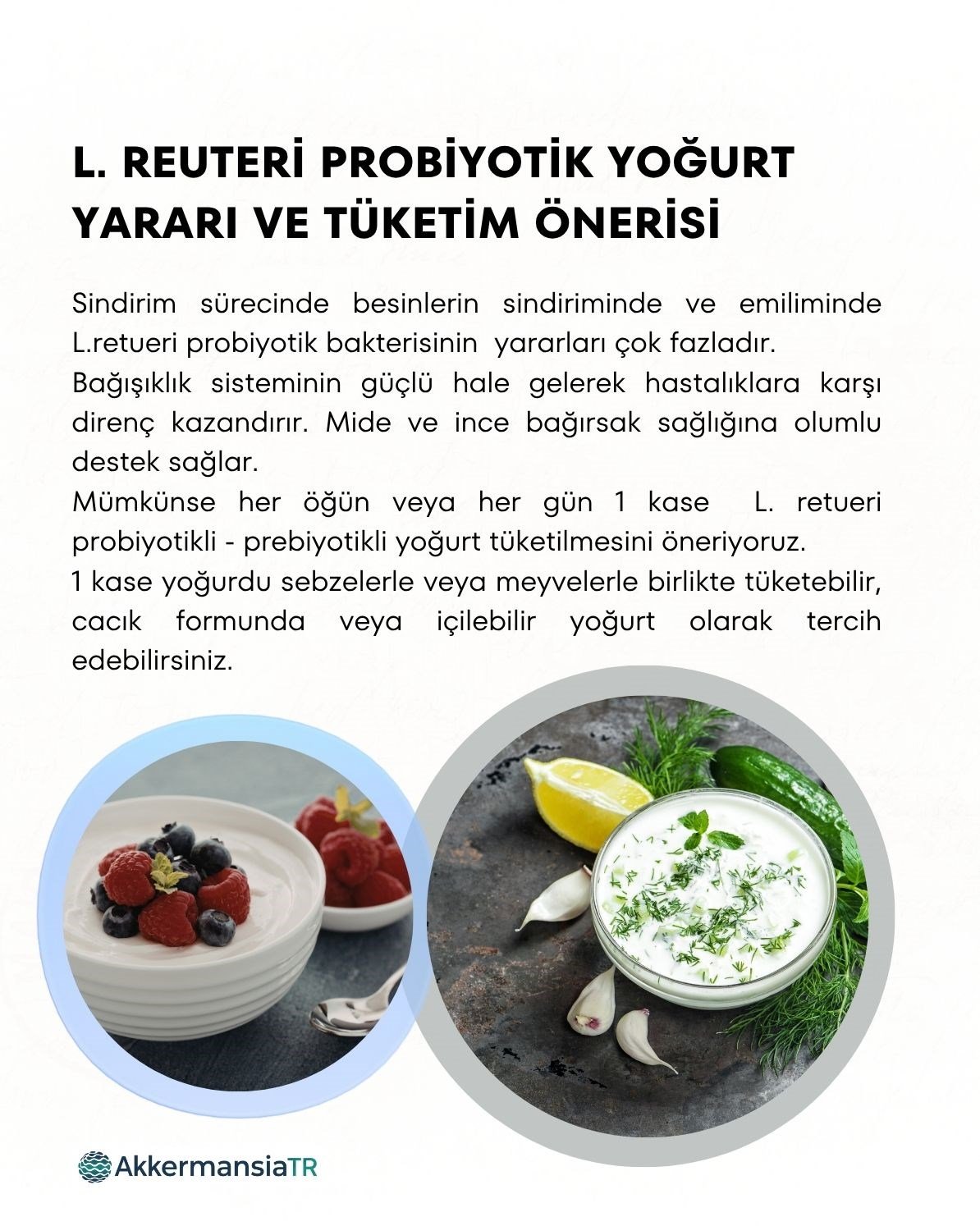 L.reuteri Yoğurt Mayası 30 Kapsül
