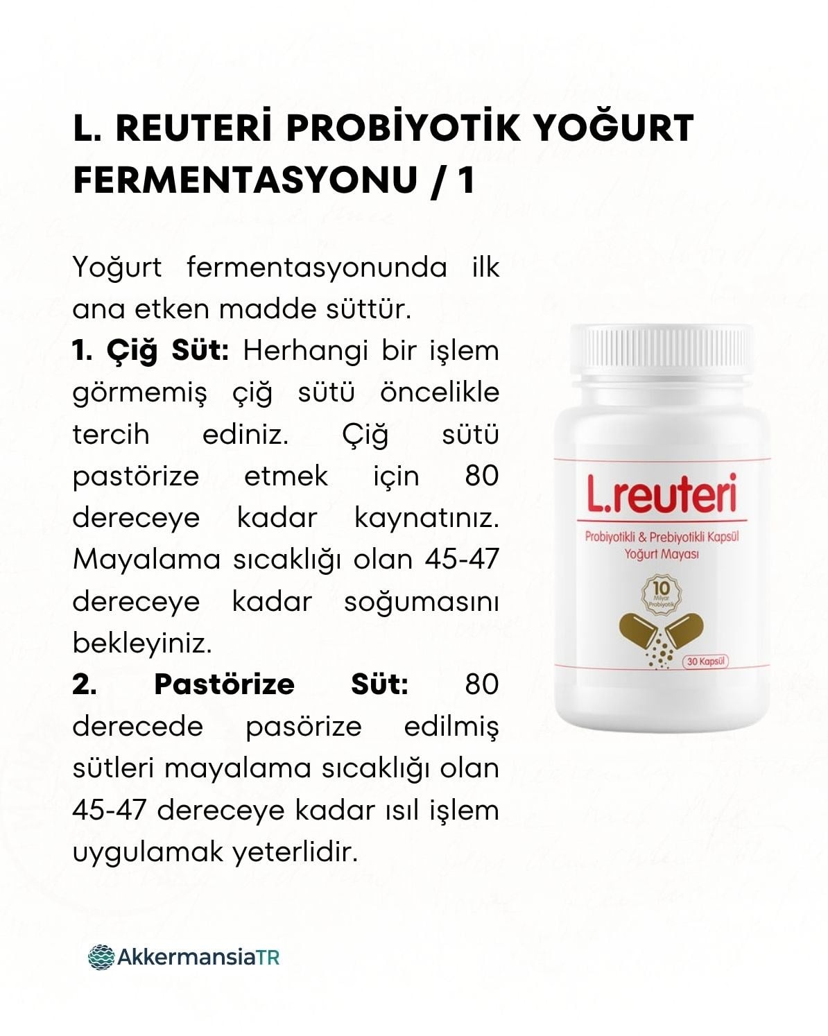 L.reuteri Yoğurt Mayası 30 Kapsül