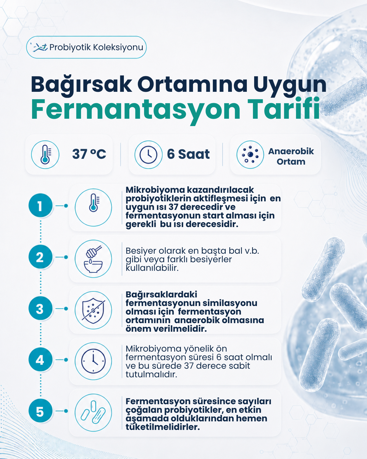 Lactobacillus gasseri ( 40 Kapsül )