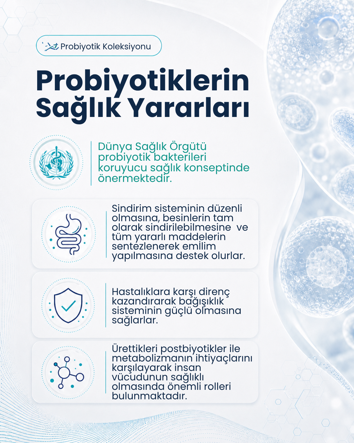 Lactobacillus gasseri ( 40 Kapsül )