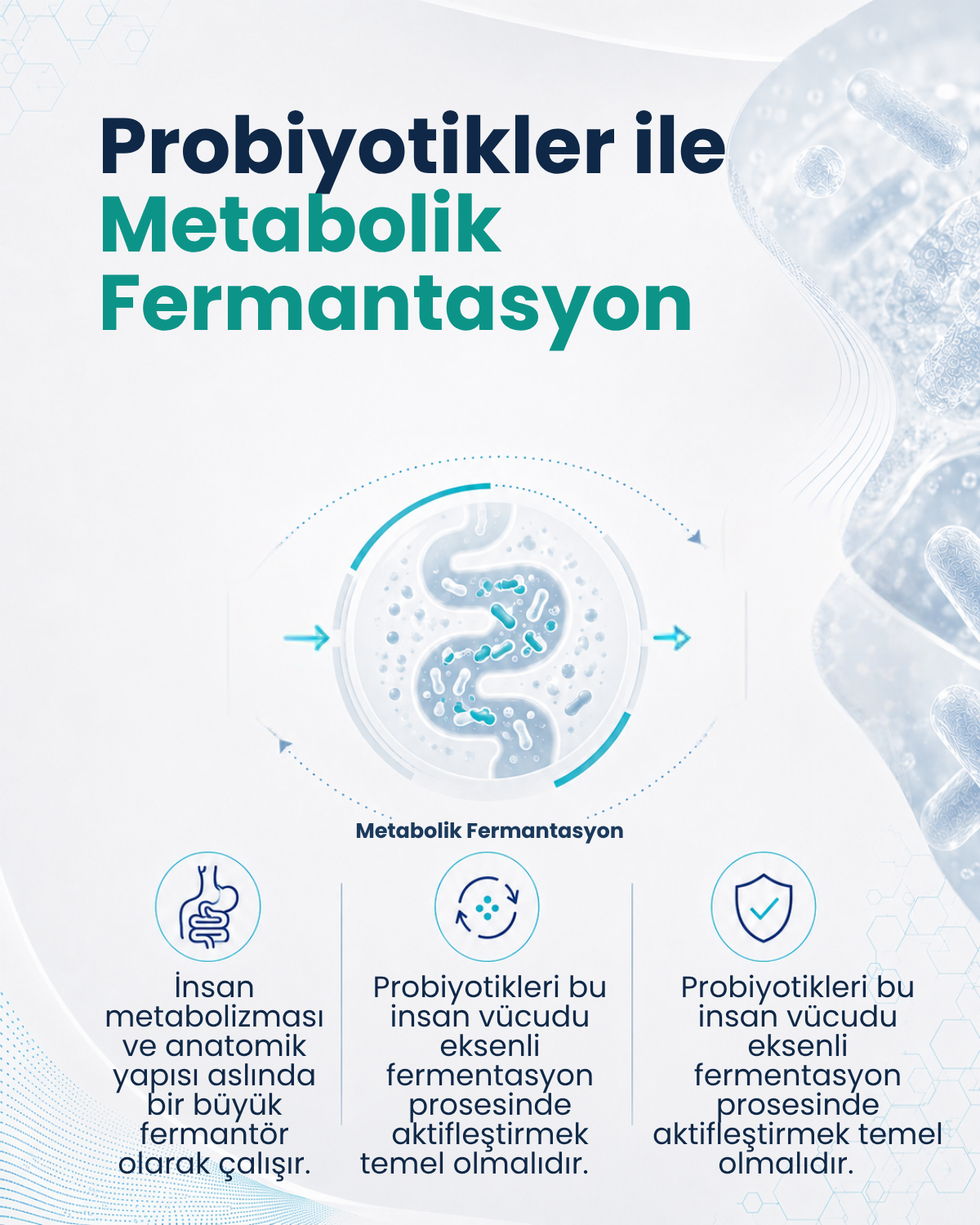 Lactobacillus gasseri ( 40 Kapsül )