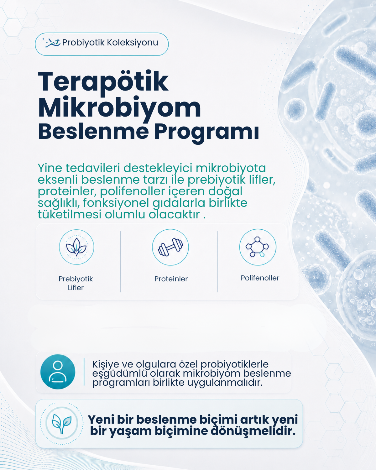 Lactobacillus gasseri ( 40 Kapsül )