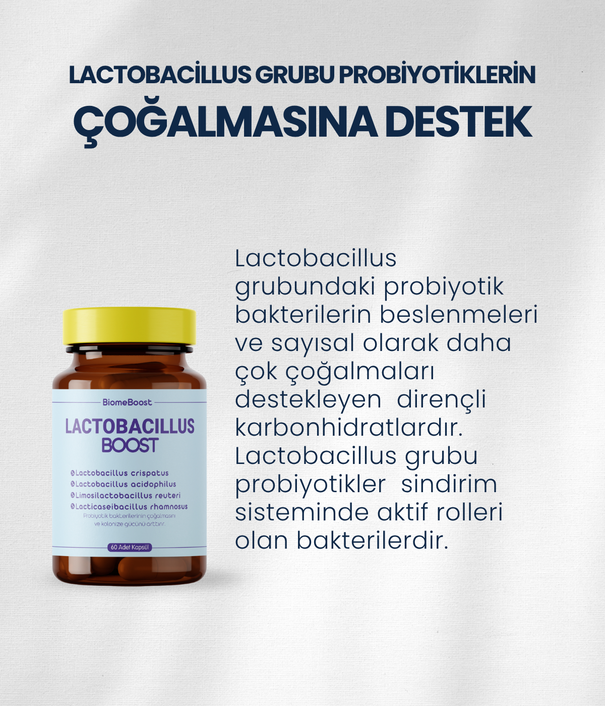 LactobacillusBoost 60 Kapsül