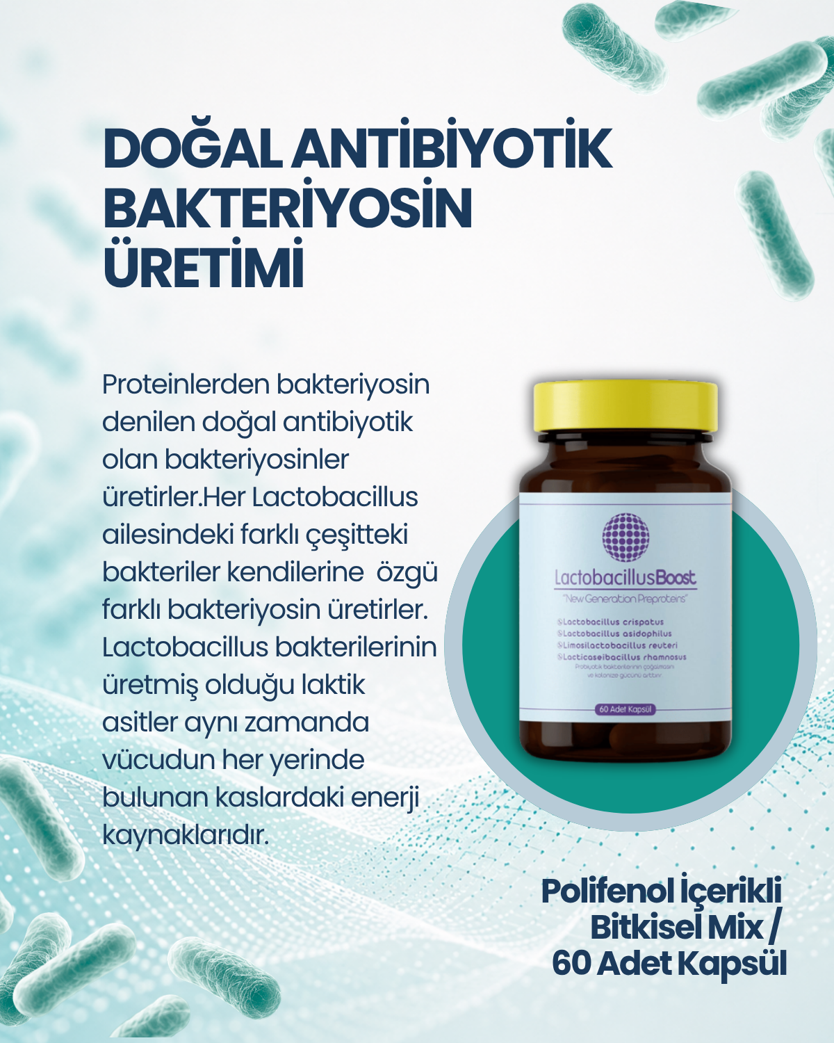 LactobacillusBoost 60 Kapsül