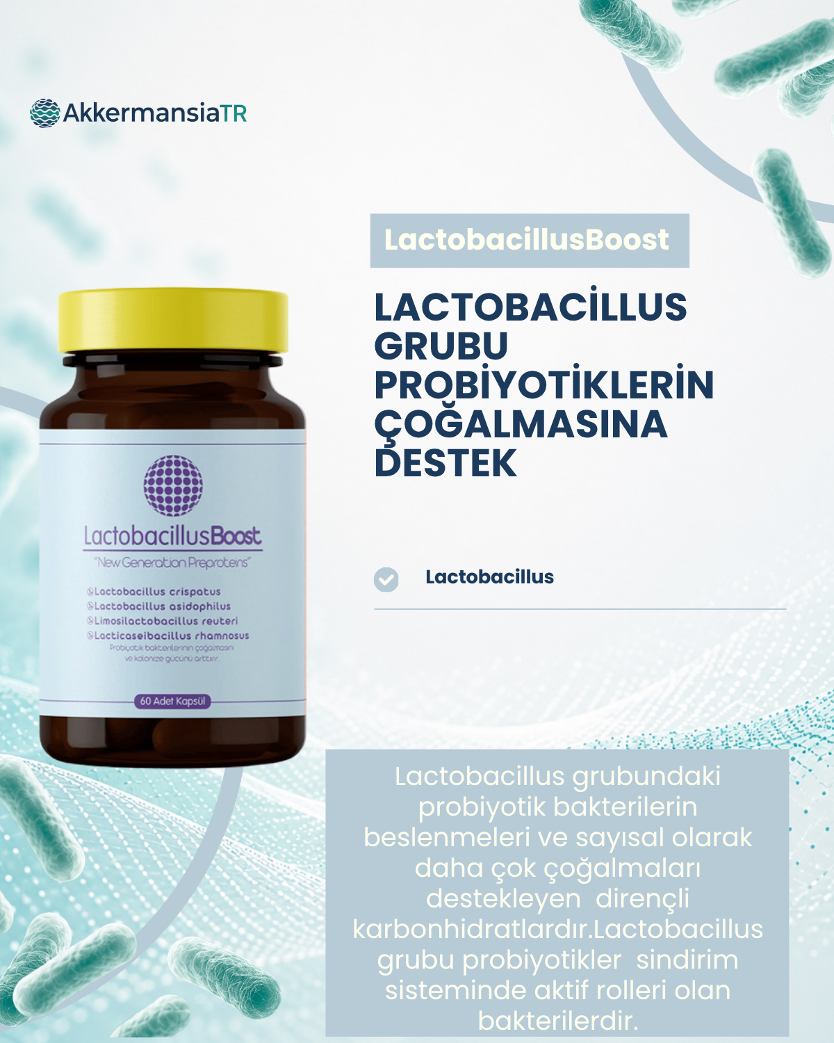 LactobacillusBoost 60 Kapsül