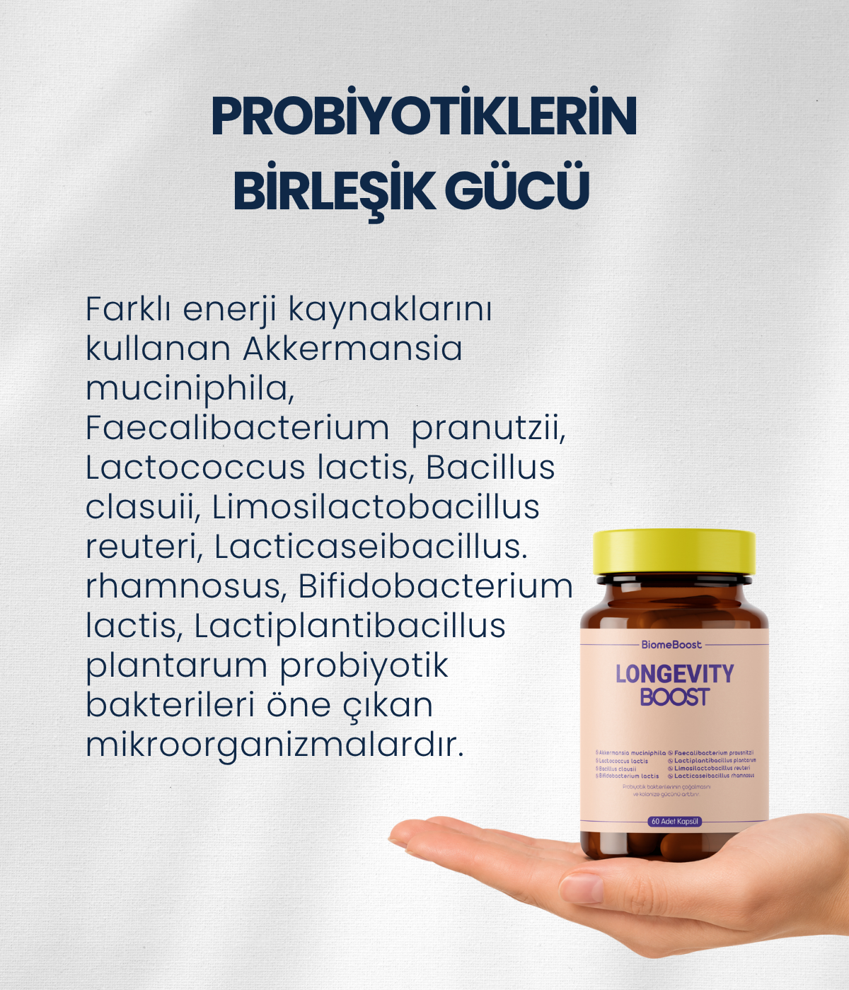 LongevityBoost 60 Kapsül