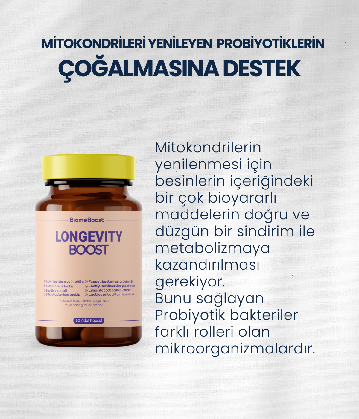 LongevityBoost 60 Kapsül