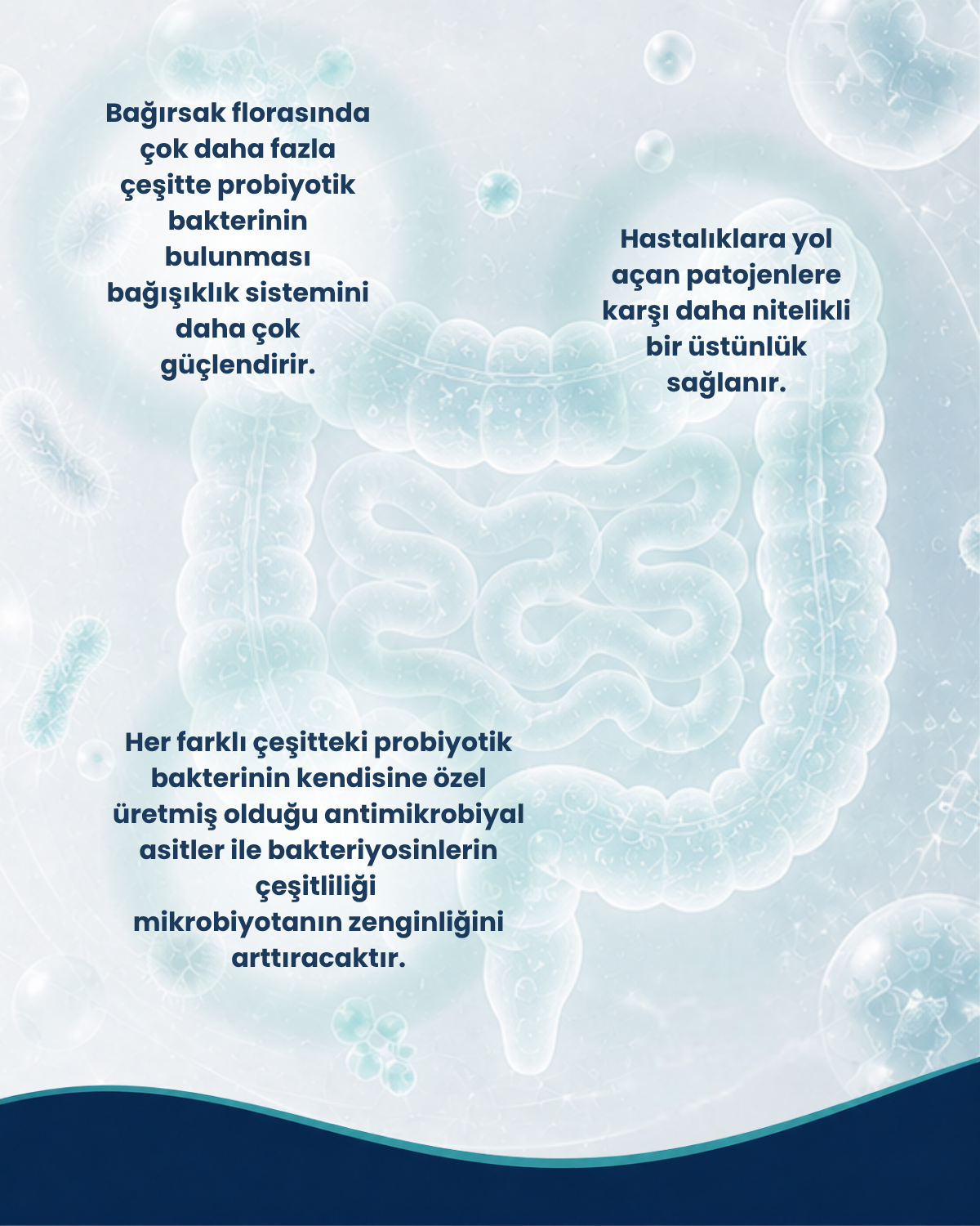Mikrobiome Max Seti