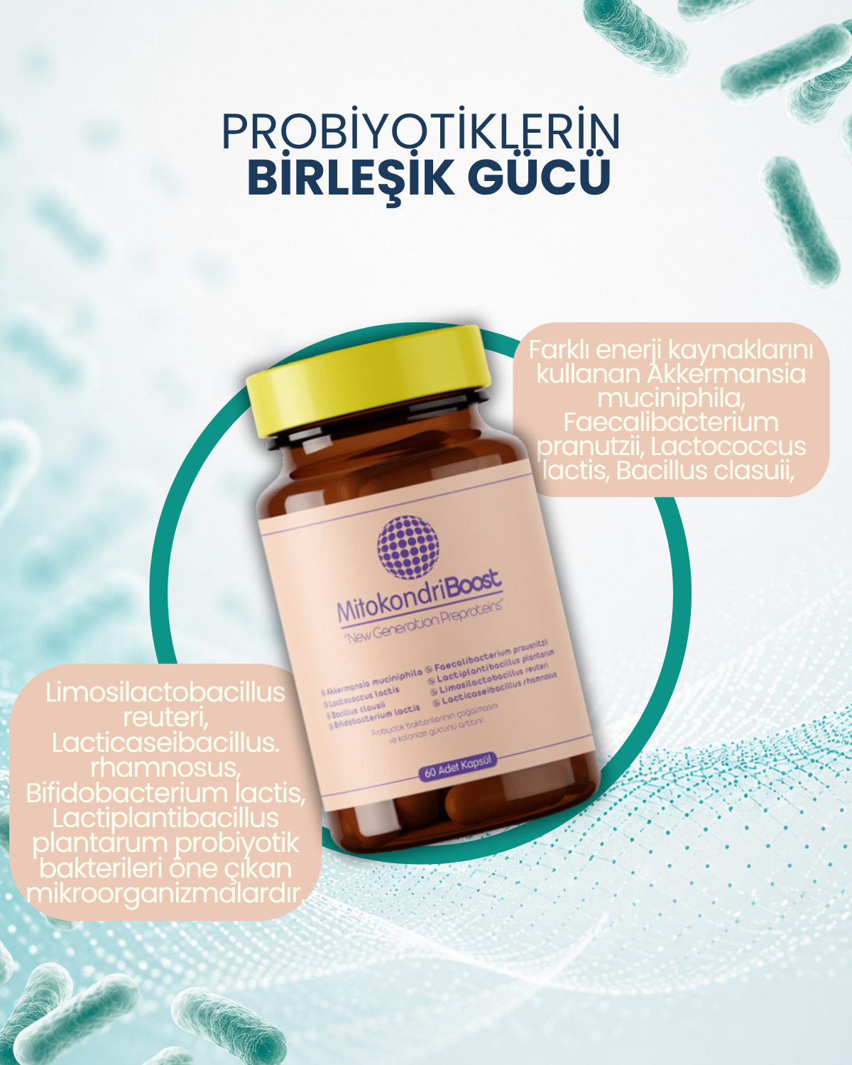 MitokondriBoost 60 Kapsül