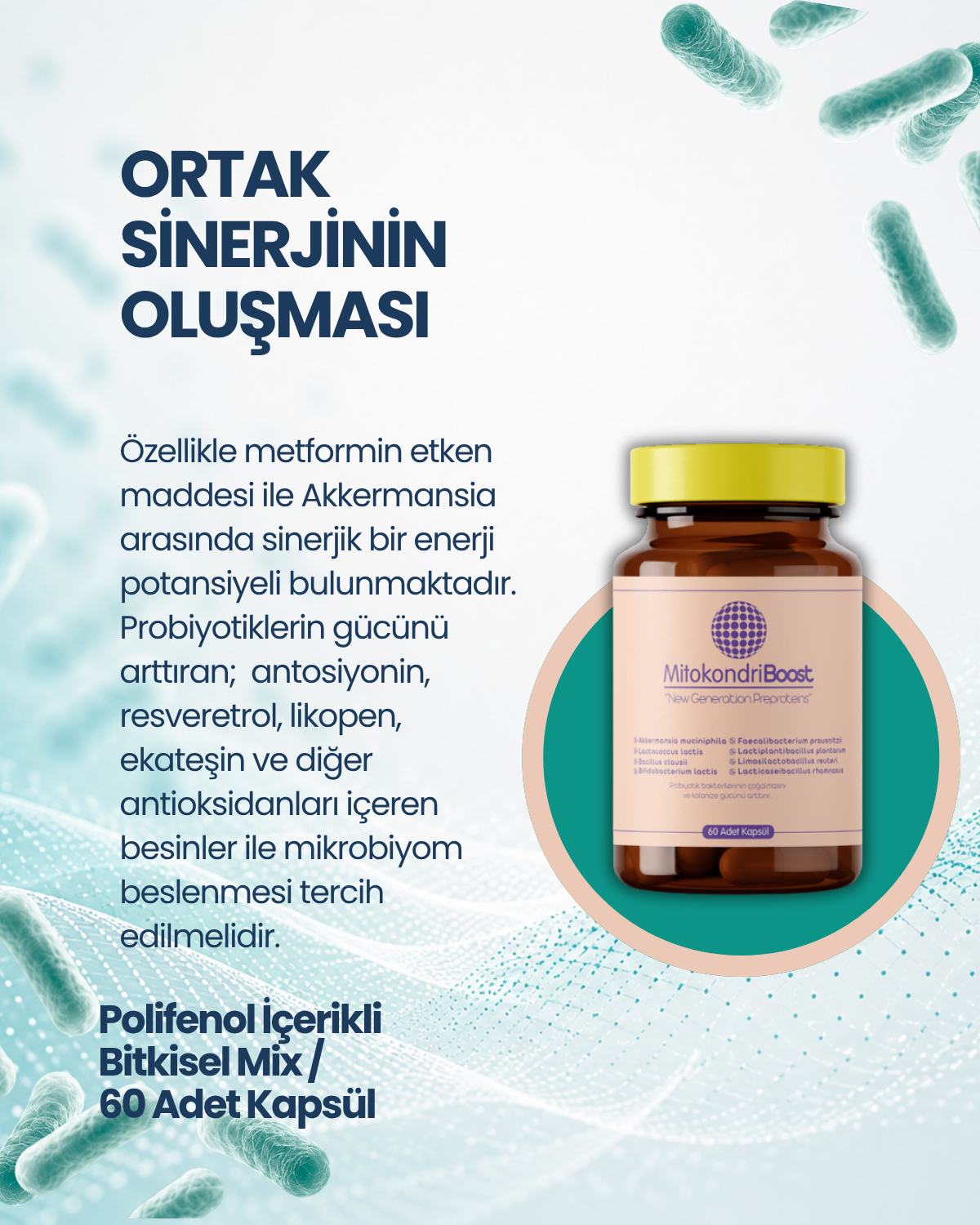 MitokondriBoost 60 Kapsül