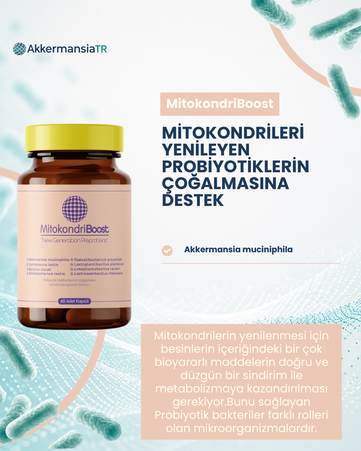 MitokondriBoost 60 Kapsül