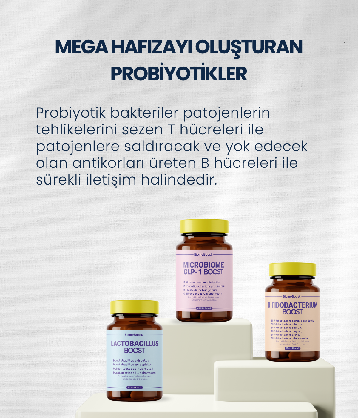 Otoimmün Sağlığı Probiyotik Seti