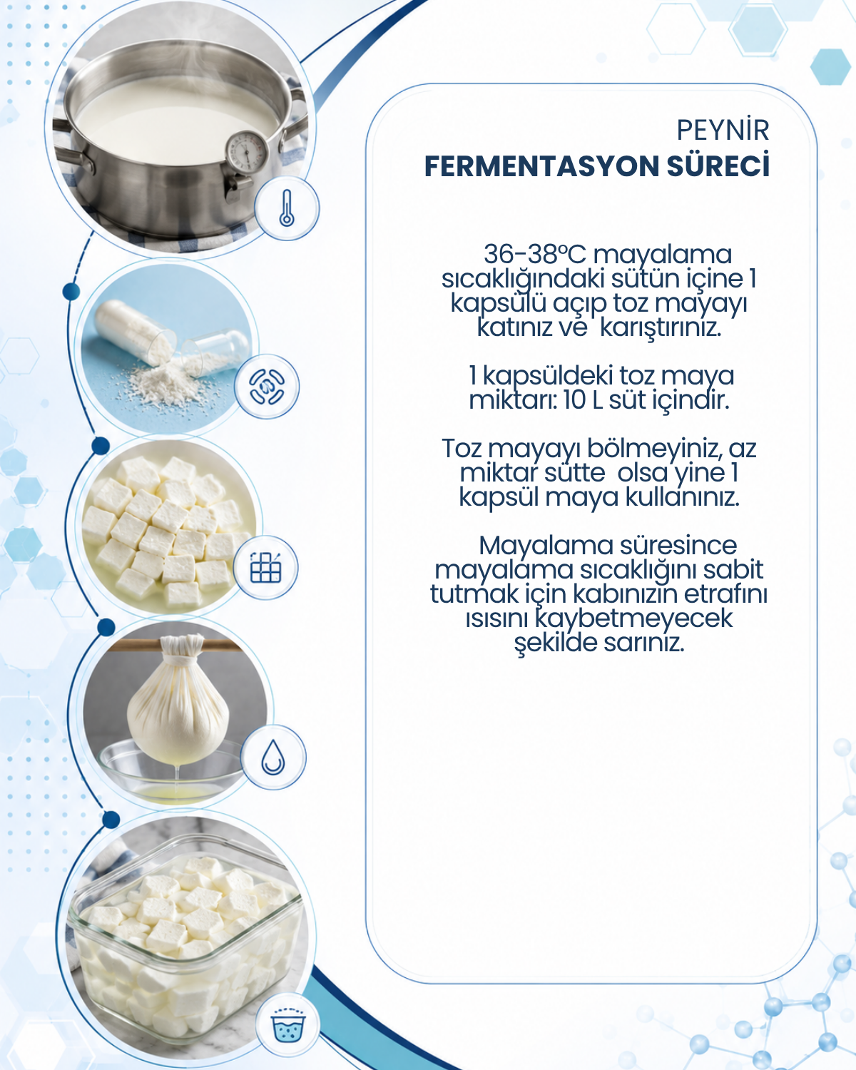 Peynir Mayası 10 Kapsül