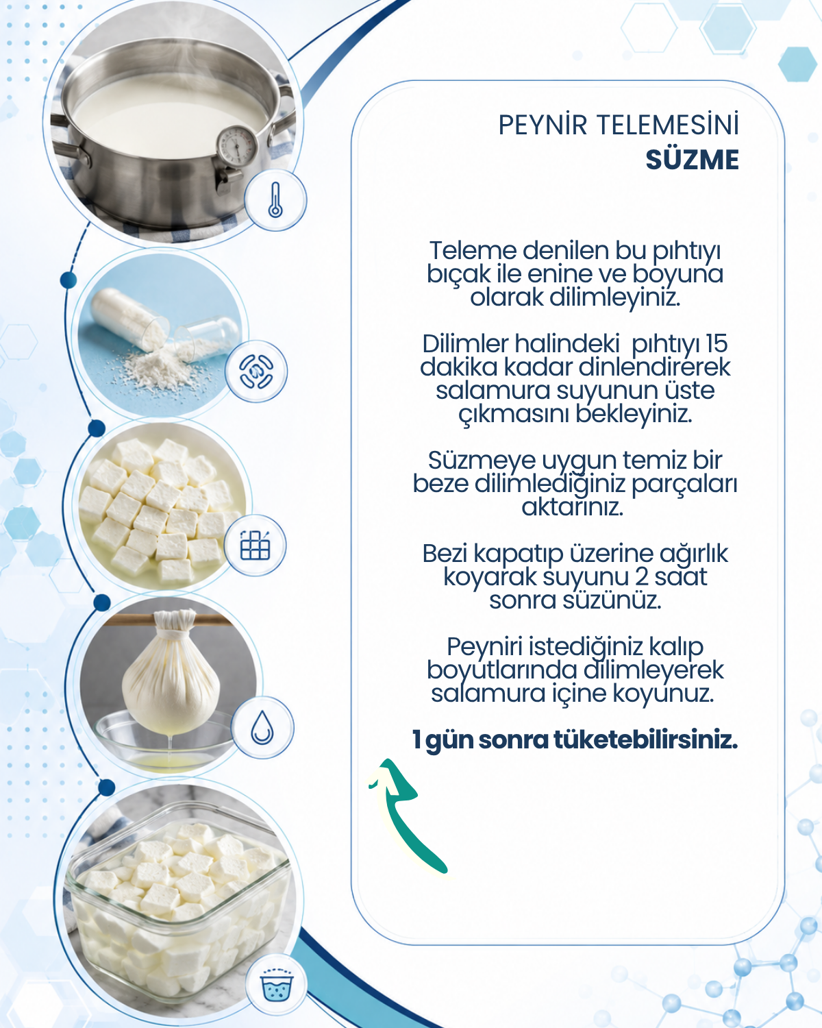 Peynir Mayası 10 Kapsül