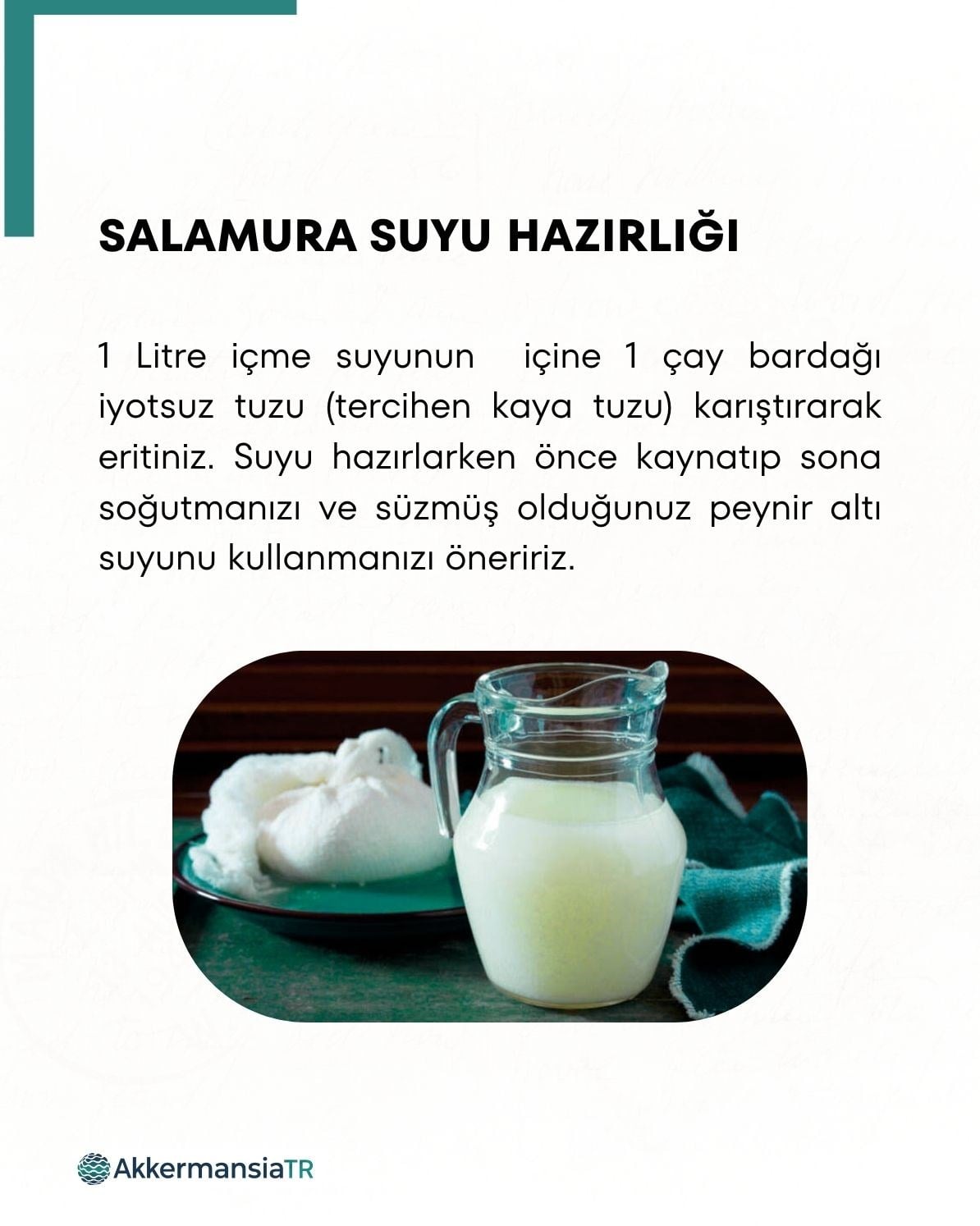 Peynir Mayası 10 Kapsül